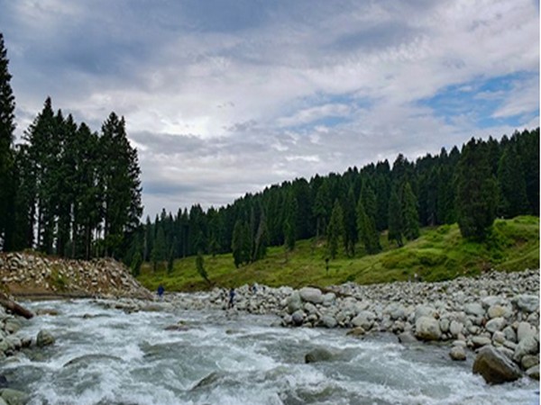 A visual from Doodhpatri in Jammu and Kashmir (Photo/ANI)